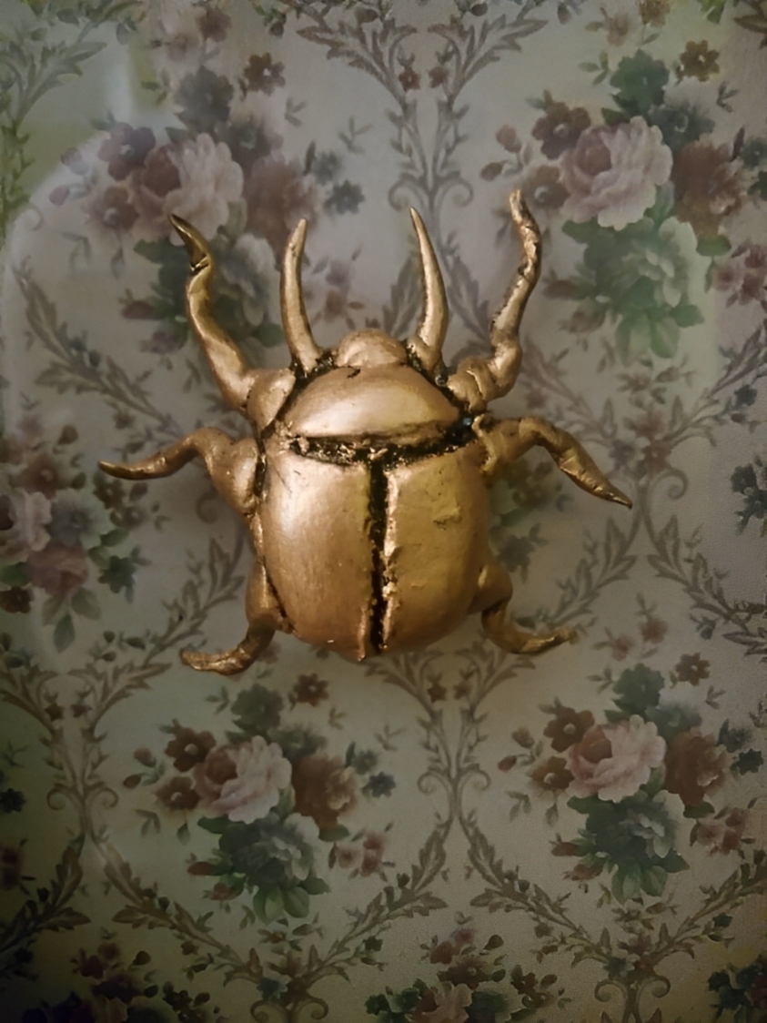 Reliquaire entomologique